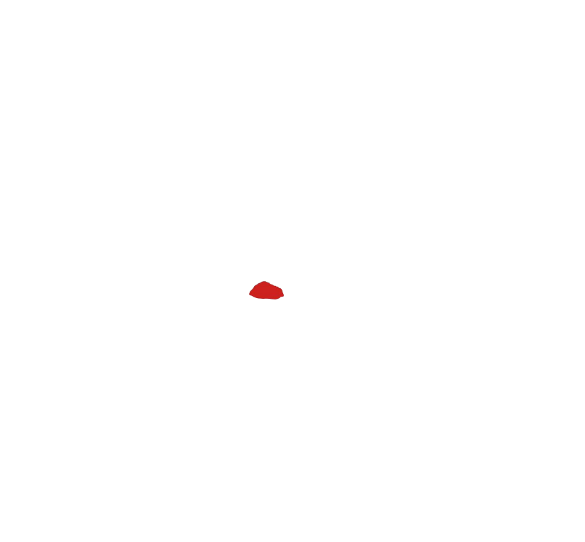 logo light