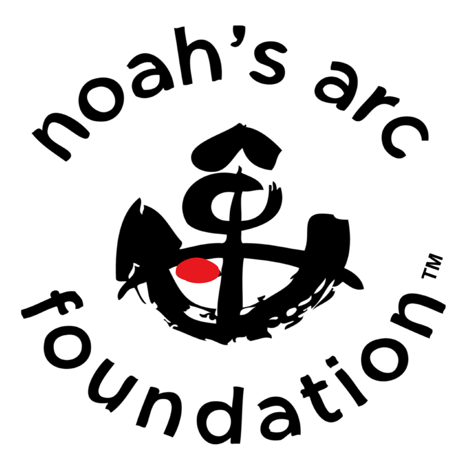 Noah's Arc Foundation